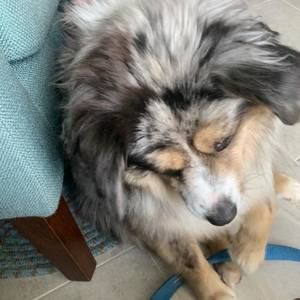 Meet your Posher, Valerie